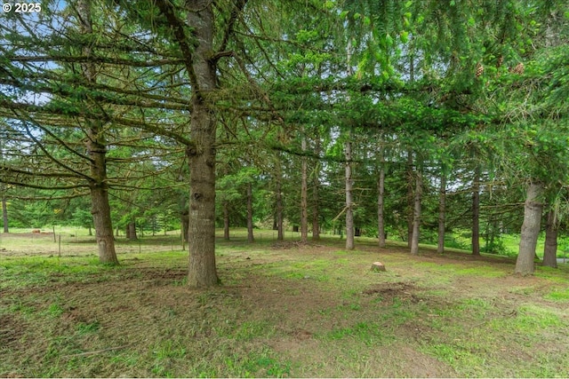 26127 NW Williams Canyon Rd, Gaston, OR 97119 - view of yard