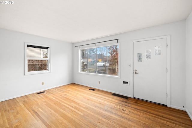 entryway featuring hardwood / wood-style flooring and a wealth of natural light