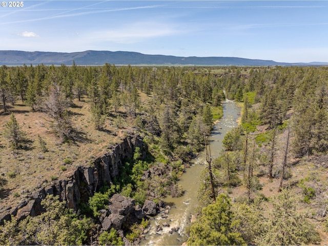 10771 E Langell Valley Rd, Bonanza, OR 97623 - view of mountain backdrop with a forest