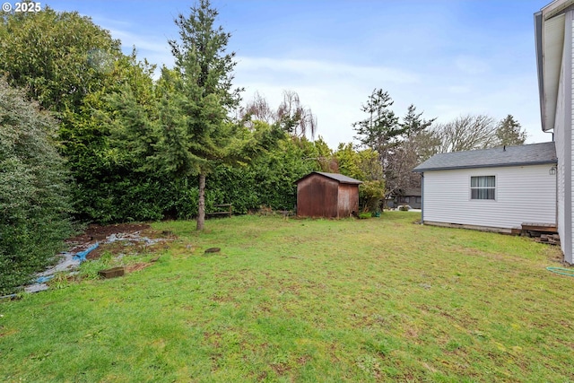 view of yard with a storage shed and an outbuilding