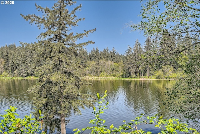 water view with a view of trees
