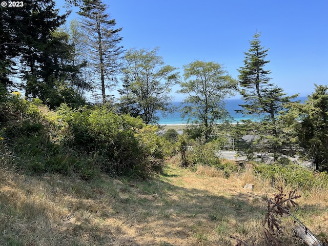 Wallace, Gold Beach, OR 97444