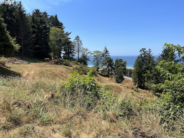 Wallace, Gold Beach, OR 97444