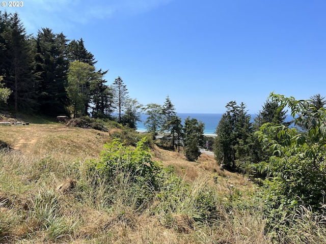Wallace, Gold Beach, OR 97444