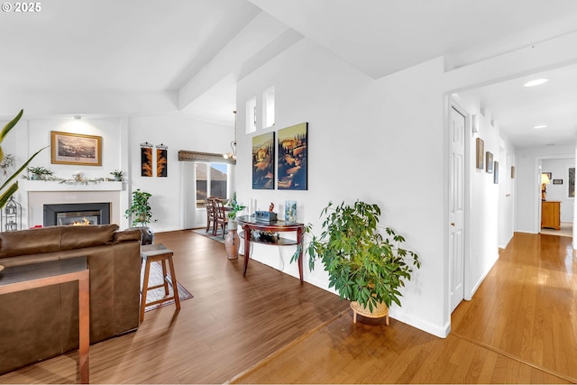 living room with hardwood / wood-style floors