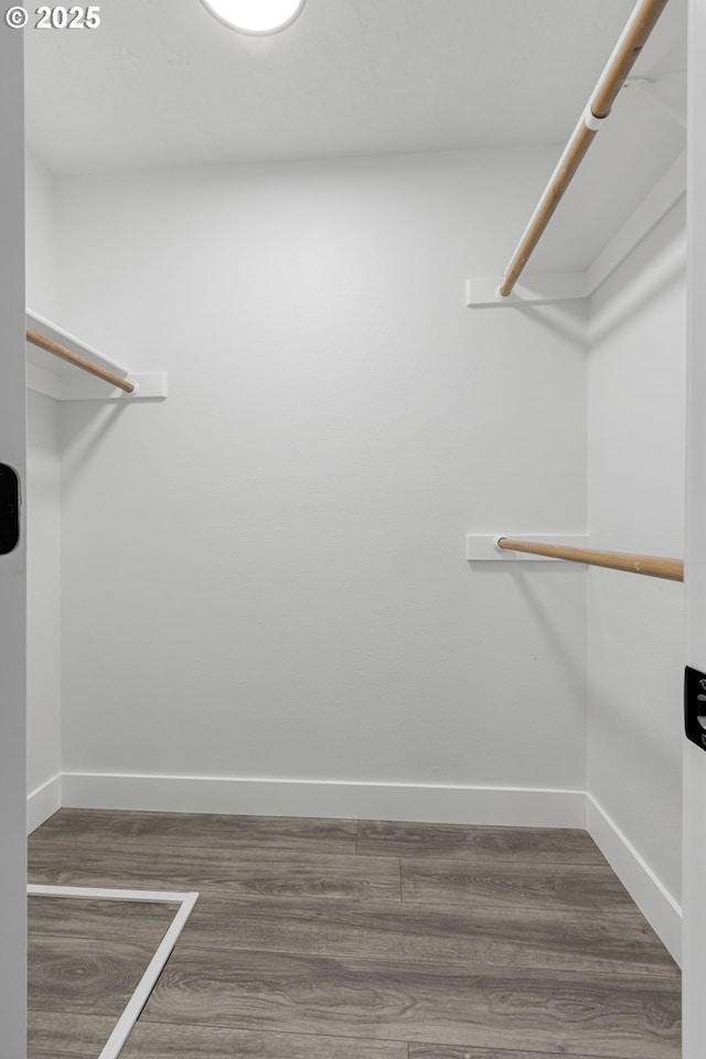 walk in closet featuring wood finished floors