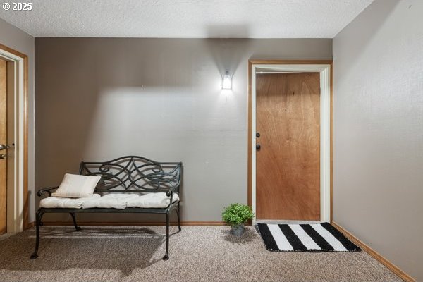 interior space featuring a textured ceiling, baseboards, and carpet flooring