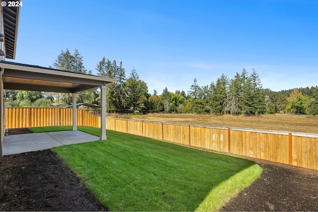 view of yard featuring a patio and a fenced backyard