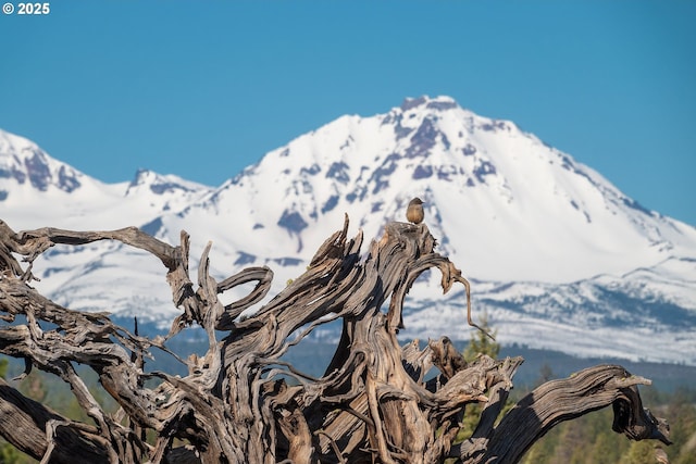16830 Delicious St, Bend, OR 97703 - view of mountain background