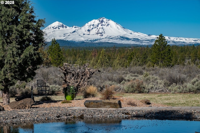 16830 Delicious St, Bend, OR 97703 - mountain view featuring a forest and a nearby body of water