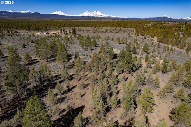 16830 Delicious St, Bend, OR 97703 - view of mountain backdrop