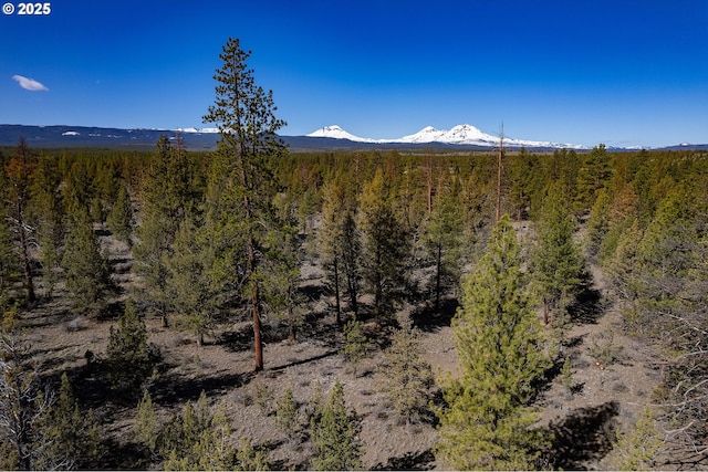 16830 Delicious St, Bend, OR 97703 - mountain view featuring a forest