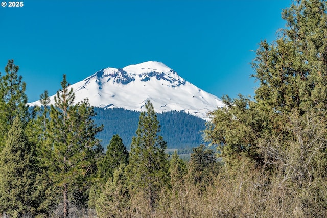 16830 Delicious St, Bend, OR 97703 - view of mountain background with a heavily wooded area
