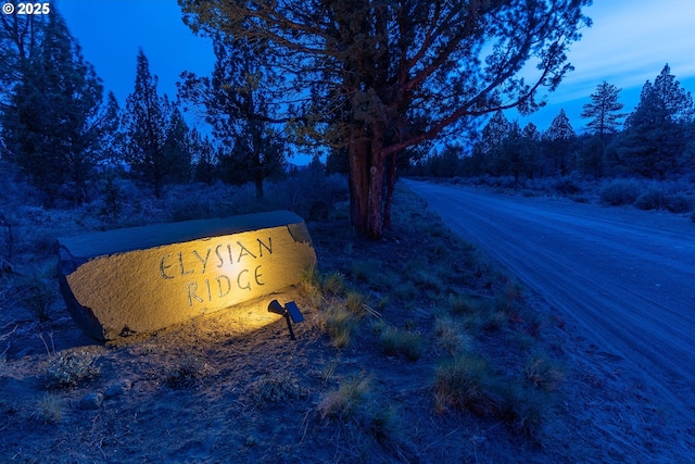 16830 Delicious St, Bend, OR 97703 - view of road
