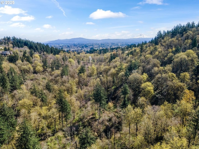 mountain view with a view of trees
