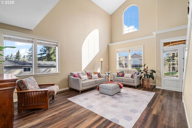 living room with high vaulted ceiling, dark wood finished floors, and a wealth of natural light