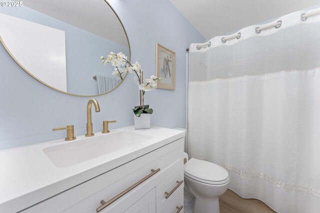 bathroom with hardwood / wood-style flooring, vanity, and toilet