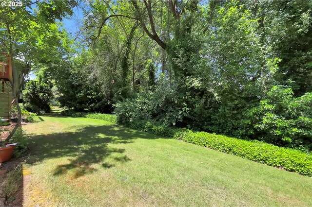 1308 Quaker St, Eugene, OR 97402 - view of green lawn