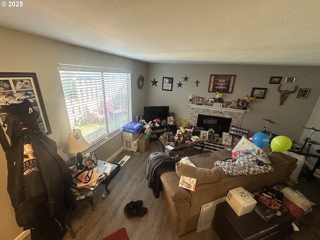 living room featuring hardwood / wood-style flooring