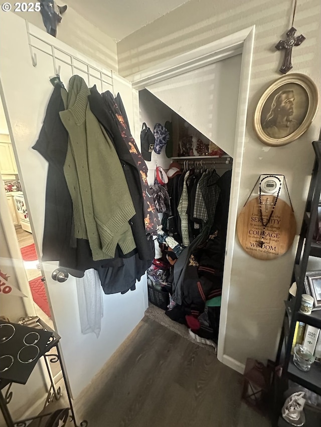 mudroom featuring dark hardwood / wood-style floors