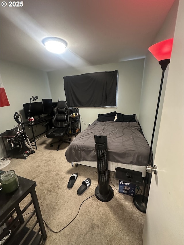 bedroom with carpet flooring