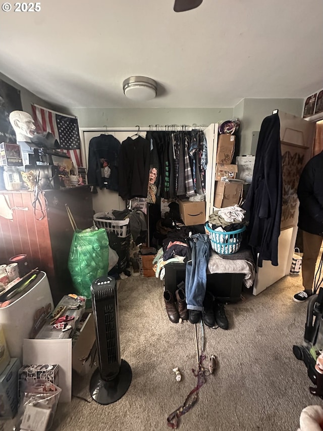 walk in closet with carpet flooring