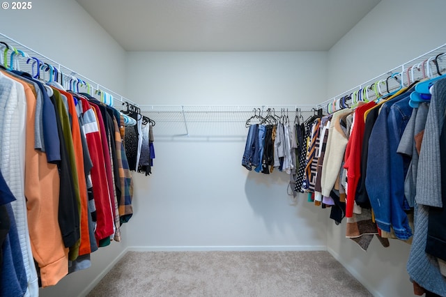 spacious closet with carpet flooring