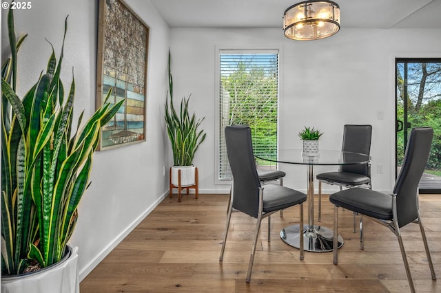 dining space featuring baseboards and hardwood / wood-style floors