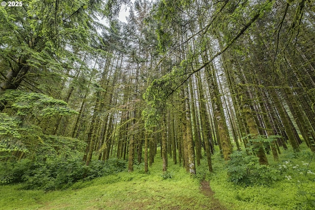 21445 NE Ornduff Rd, Hillsboro, OR 97123 - view of tree filled area