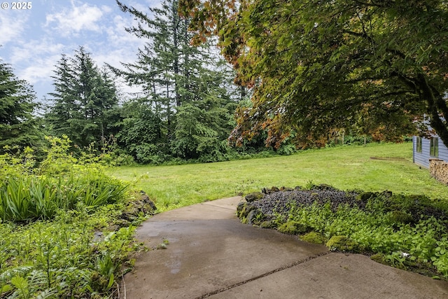 21445 NE Ornduff Rd, Hillsboro, OR 97123 - view of green lawn featuring a patio area