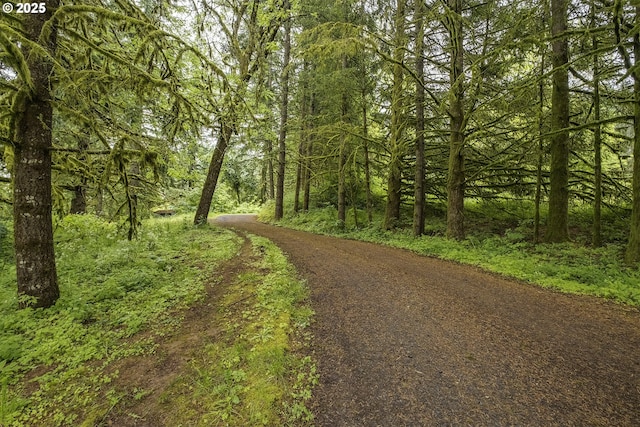 21445 NE Ornduff Rd, Hillsboro, OR 97123 - view of street with a forest view