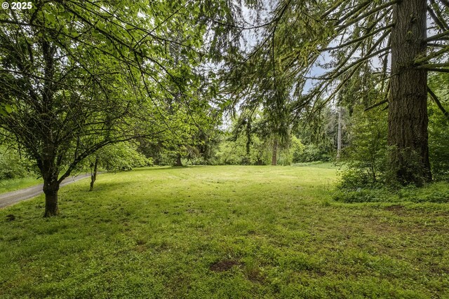 21445 NE Ornduff Rd, Hillsboro, OR 97123 - view of green lawn featuring a forest view