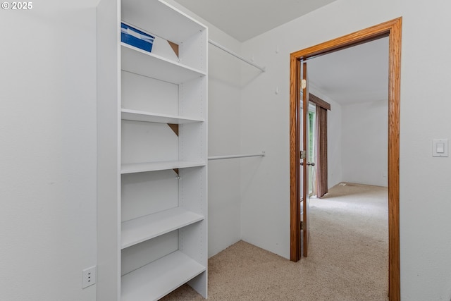 3116 NE 108th Ave, Portland, OR 97220 - walk in closet featuring carpet floors