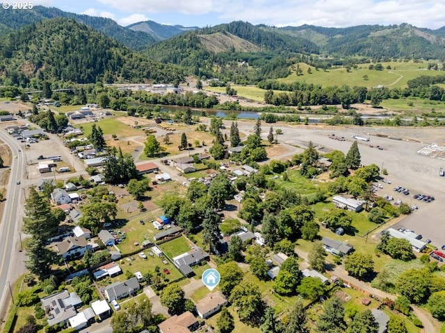161 1st St, Dillard, OR 97432 - drone / aerial view of mountains