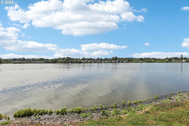 water view