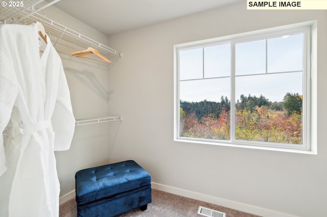 spacious closet featuring visible vents and carpet floors