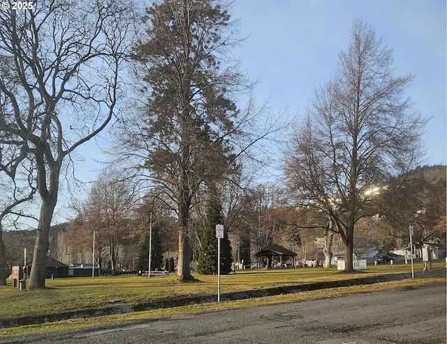 view of street with traffic signs