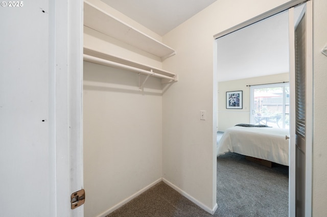 walk in closet featuring dark carpet