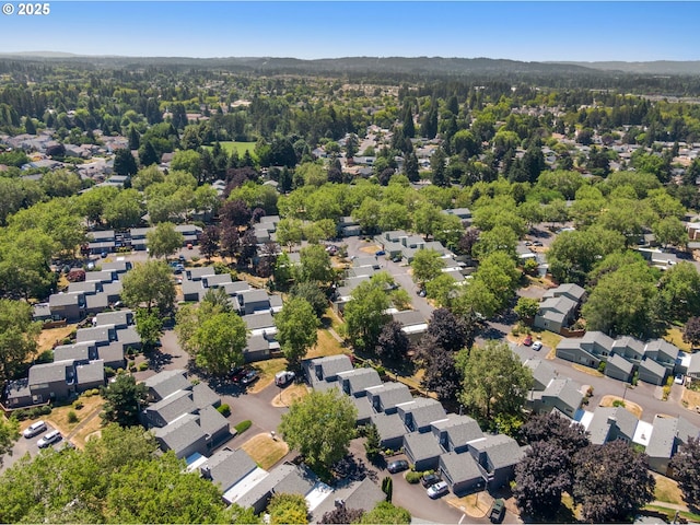 aerial perspective of suburban area
