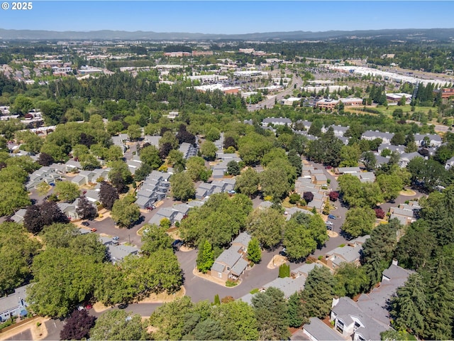 aerial perspective of suburban area