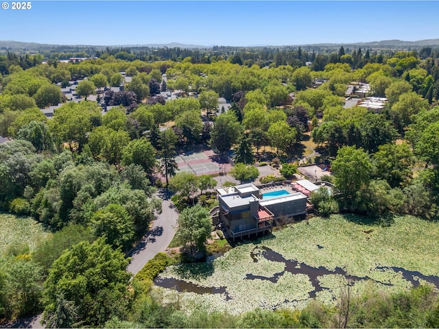 aerial view of a pool area and a forest