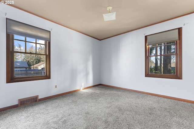 unfurnished room featuring carpet floors, a wealth of natural light, visible vents, and crown molding