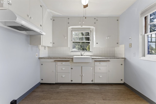 kitchen with a healthy amount of sunlight, backsplash, and under cabinet range hood