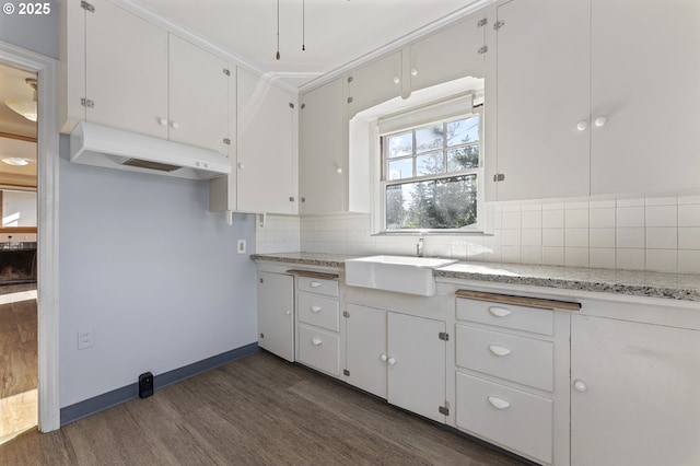 kitchen with dark wood-style floors, tasteful backsplash, white cabinetry, a sink, and under cabinet range hood