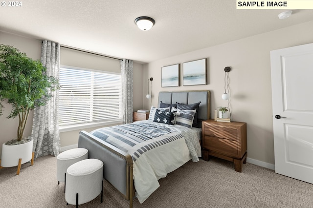 bedroom with carpet floors