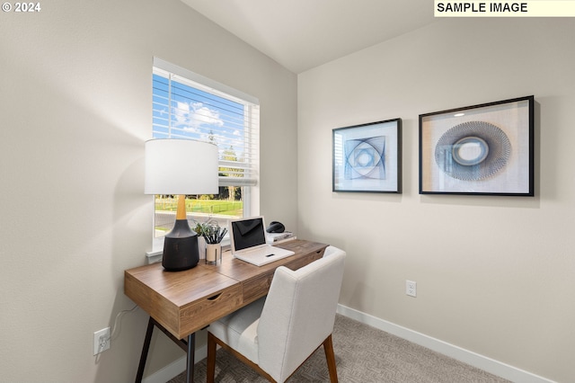 home office with carpet floors