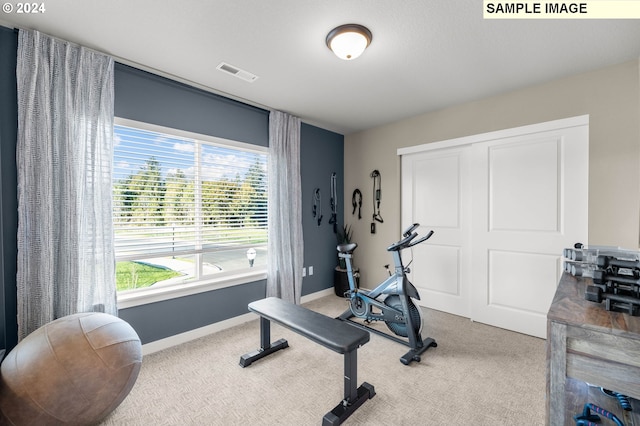 workout area with carpet floors