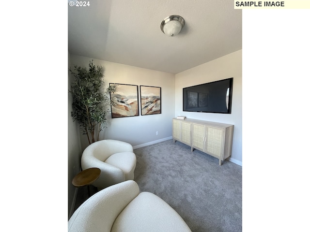 living area with carpet and baseboards