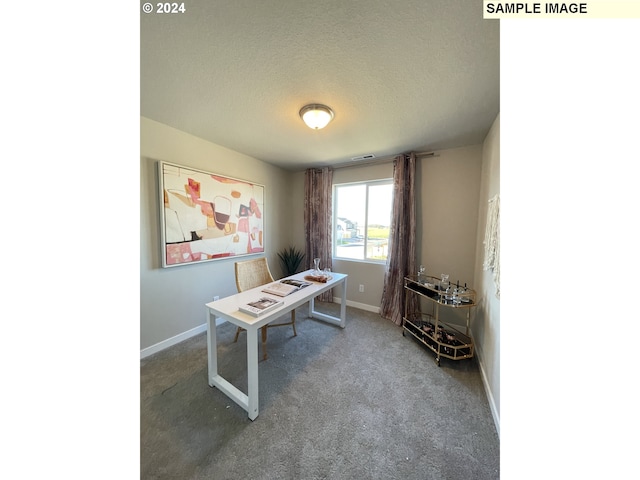 carpeted office space featuring a textured ceiling, visible vents, and baseboards