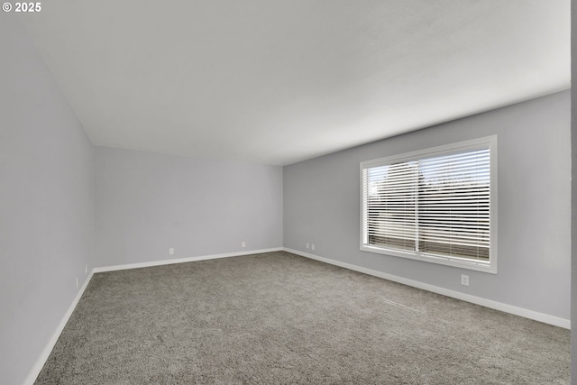 empty room featuring carpet floors